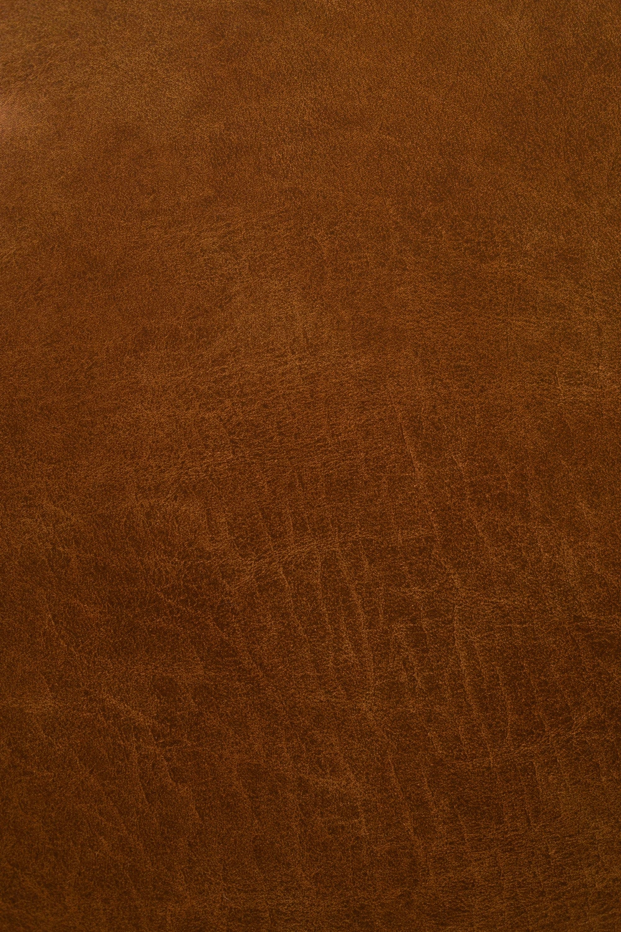 Raking light drifting across the fine creased grain of a warm chestnut hide